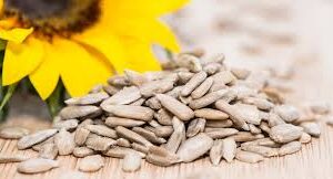 SUNFLOWER SEEDS