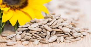 SUNFLOWER SEEDS SUNFLOWER SEEDS